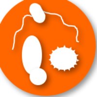 Microbiology@UCL (@microbiologyucl) 's Twitter Profile