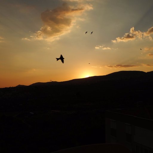 soikaliac's profile picture. ahkam ve öfke nöbetleri köşesi.

Zen, Zendegi, Azadi

Kadın, Yaşam, Özgürlük 🌈