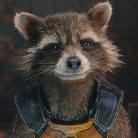 Rocket (@minutefugitive) 's Twitter Profile