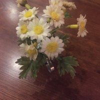 Rsa (@rsa_ank) 's Twitter Profile