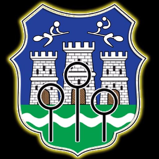 Kvidic Liga NS okuplja fanove Hari Potera i one voljne da se upuste u igru Kvidica sa ostalim fanovima serijala. Brooms Up!