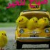 القنصل (@saif44478607) Twitter profile photo القنصل (@saif44478607) Twitter profile photo