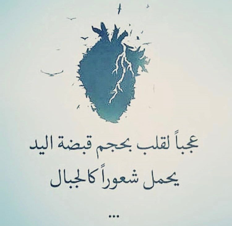 noory62478881's profile picture. 