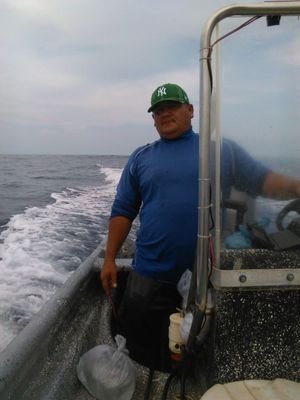 MarioHernndezA1's profile picture. Música