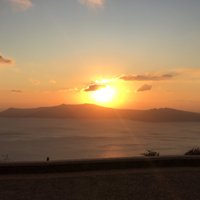 Steve McCrone (@steve1hc) 's Twitter Profile