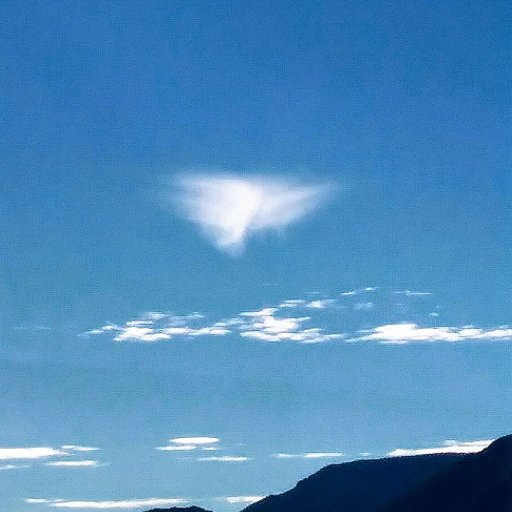 chakra0210's profile picture. hopeful participant