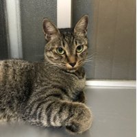 atsuka (@atsuka89452155) Twitter profile photo