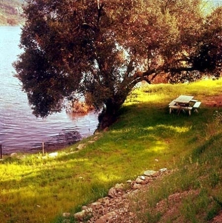 angelrelampago's profile picture. 