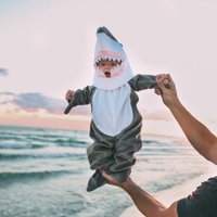 colgan cfpa🦈 (@cfpasharks) 's Twitter Profile