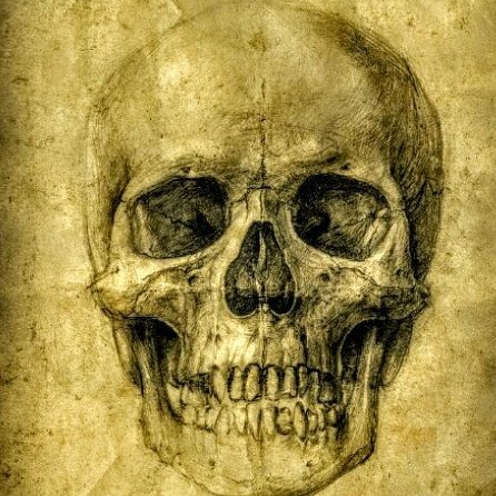 Who ever said that a deadly poison doesn't feel anything? #GrowWithMe
THE PAIN of CYANIDE: book of poems coming 2018