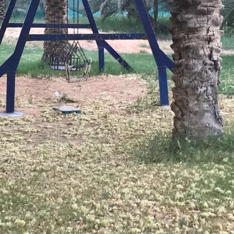 مُترفقٌ في مشيهِ يطَءُ الثَرى وكأَنَّما بين النجوم مَسيرُهُ 🌟
