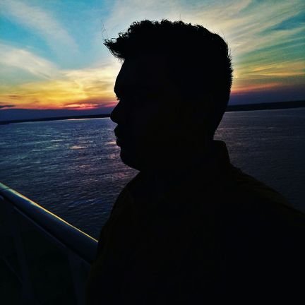 dynamic_nik's profile picture. Waiting for Batumi Olympiads and World Cup/Champion's to resume in Georgia 🤧🥲