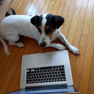 Software engineer @Google. Interested in Python, math, and machine learning. Not opposed to hiking, running, and biking. PyMC3 + ArviZ developer. he/his.
