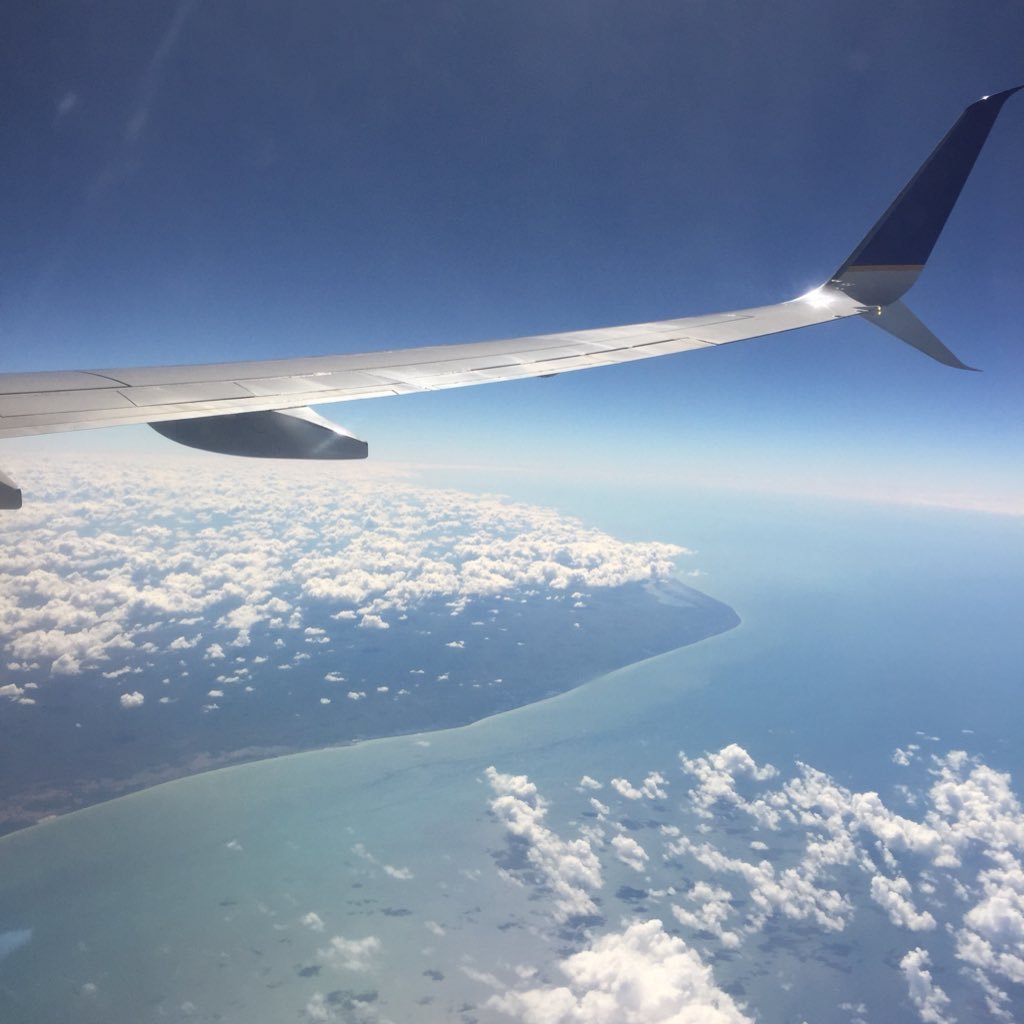 AliceTusell's profile picture. 