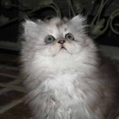 aerosmithone_'s profile picture. 