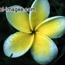 sonia ram - @sunsationalsoni - Twitter