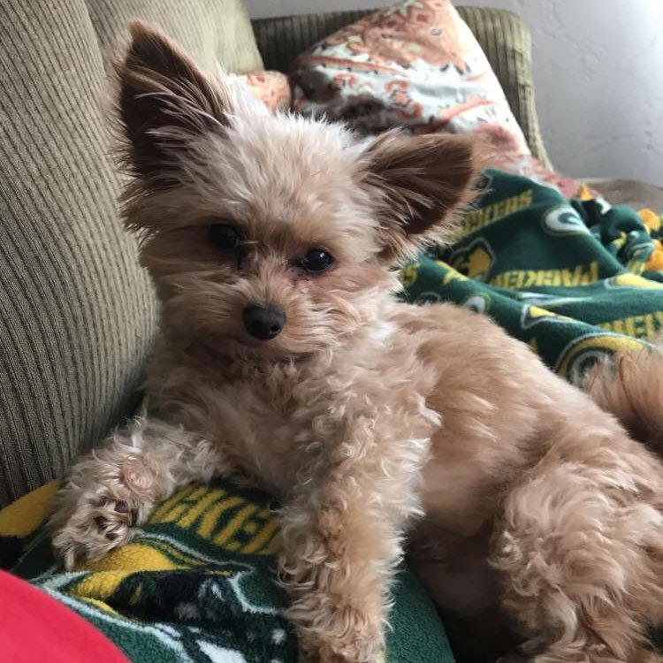 blumnonion10's profile picture. Rapper- SoccerTees