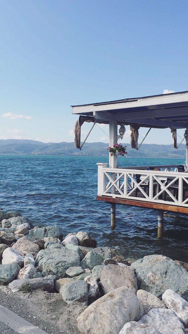 V_Mtairi's profile picture. 