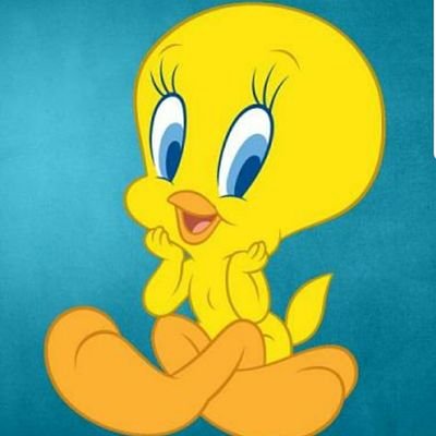 irintweety's profile picture. 