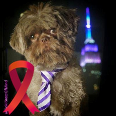 Rescue Dog Living In NYC with My 2 Dads! Visit me on Instagram: http://t.co/TtHPwMDIBh