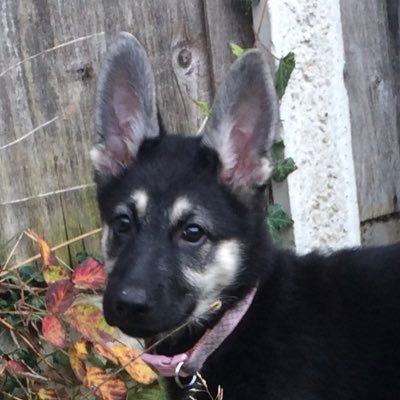 RobertS99545875's profile picture. Hey hey hey what’s up?!