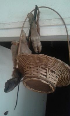 MazambiP's profile picture. Love spells marriage spells failure to concieve divorce  problems call us or whatsapp me on +27728616713