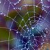 New papers in Network Science (@networkspapers) Twitter profile photo New papers in Network Science (@networkspapers) Twitter profile photo