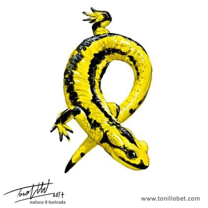 jbrullnoval's profile picture. Un parenostre pels qui van errats.