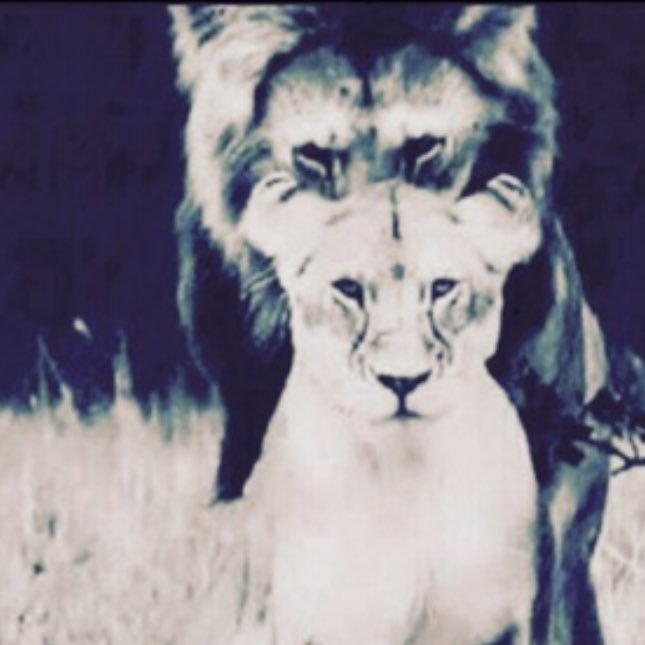 - احسن نيتك يُحسن ، الله حالك وتمنّى الخير لغيرك يأتيك الخير 💙