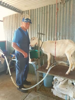 Capricorn Cottage Dairy and Goat Farm 
Emu Creek Bendigo
Local Farm Produce 
Cheese, Yoghurt, Butter, Soap and Eggs 
https://t.co/ugyofIPIrK