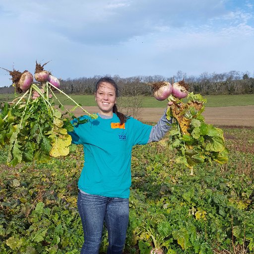 Harvest of Hope