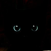 卒論演劇企画『黒猫』 (@ir2017kuroneko) 's Twitter Profile