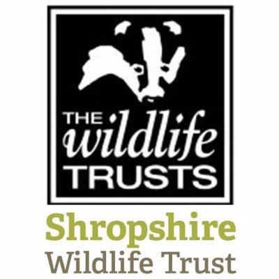 Shropshire Wildlife Trust working with @ManMetUni & @LJMU on unique environmental placements for their students to give exciting & relevant experience. 🌿🦌🦗🐟🍄