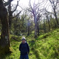 Kate Anderson (@anderscone) 's Twitter Profile