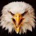 Seneca Valley FB (@svhsfootball) Twitter profile photo Seneca Valley FB (@svhsfootball) Twitter profile photo