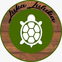 Luka Luluka - Vida Criativa(@LukaLulukaArt) 's Twitter Profileg