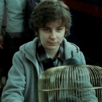 ✧¹⁶.┋↷ ━Ｊａｍｅｓ Ｓｉｒｉｕｓ Ｐｏｔｔｅｒ.━ ❴ ʜᴀʀʀʏ ᴘᴏᴛᴛᴇʀ ᴀɴᴅ ɢɪɴɴʏ wᴇᴀsʟᴇʏ•sᴏɴ. ❵『❛Ｇｒｙｆｆｉｎｄｏｒ━ Cᴀᴘᴛᴀɪɴ ᴏғ ᴛʜᴇ ϙᴜɪᴅᴅɪᴛcʜ❜』ƪAlbus, Lily•big brother.ƪ  ೃ