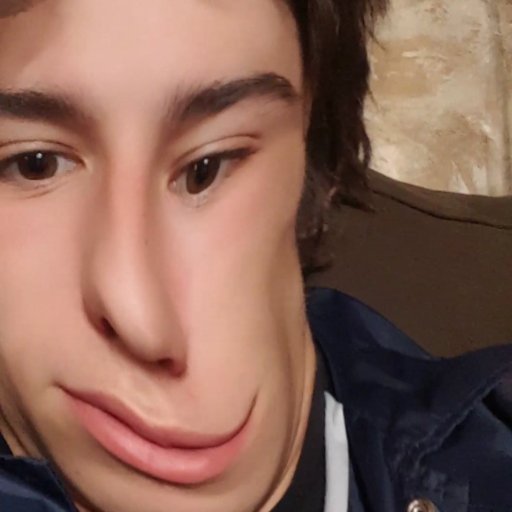 Toto_Maness's profile picture. 🐢