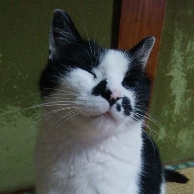 MU8626さんのプロフィール画像