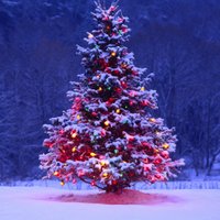 Conestoga CC (@conestogacc) 's Twitter Profile Photo