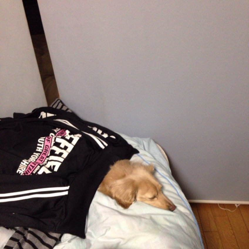 savniec's profile picture. 