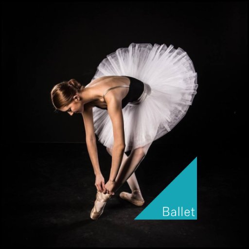 国内・海外のクラシックバレエ情報をメインにツイートします。#ballet #バレエ #相互フォロー #RT