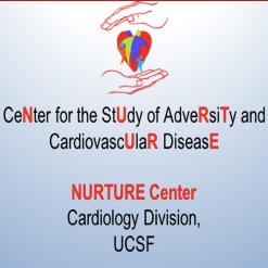 The NURTURE Center is a scientific translational research center that examines the impact of adversity across the lifespan on health, particularly CVD Health.