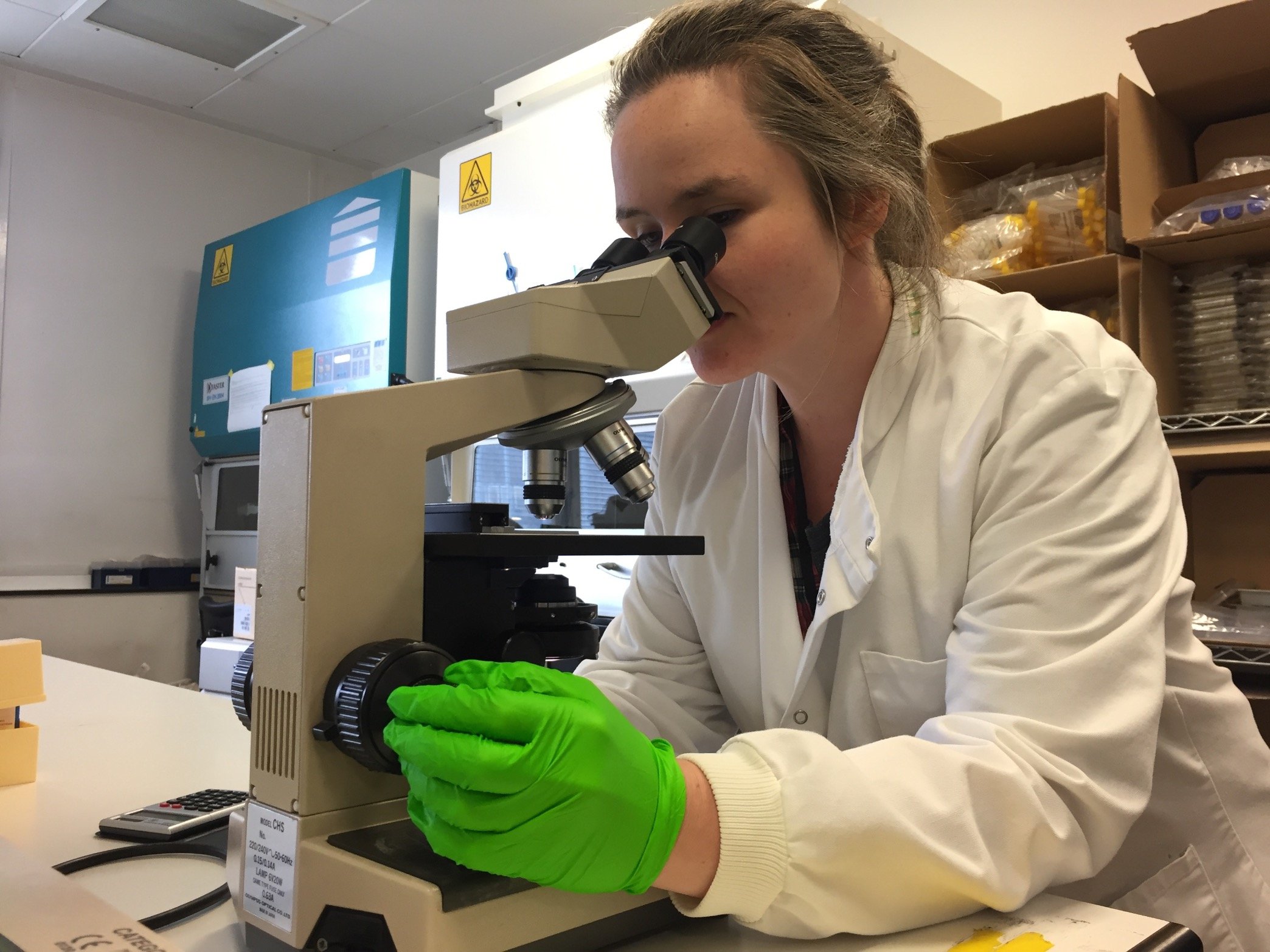 JennyLMcGovern's profile picture. 👩🏻‍🔬 🧬 Treg engineer? Keen immunologist/mega nerd.