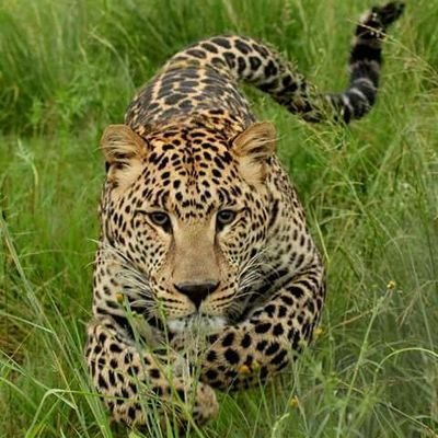 Jrmie68464106's profile picture. Je pense Donc je suis