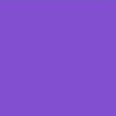 Sir_Sw3g's profile picture. 