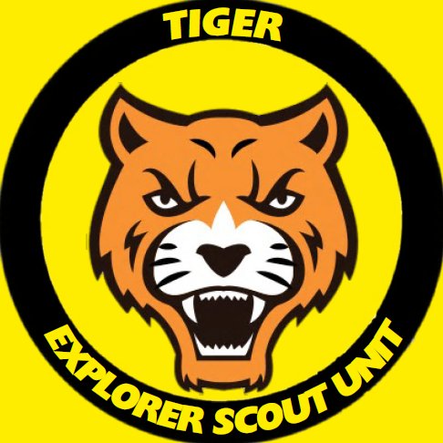 Tiger ESU is an Explorer Unit providing young people aged 14-18 with #SkillsForLife Affiliated with @28thayrshire