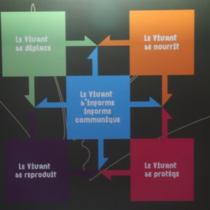 intéressé par l'information géographique, de ses usages, de datasciences, par les logiciels libres 📊🗺️🛰️📡
#data , #inspire , #GIS, #BFC, #QGIS