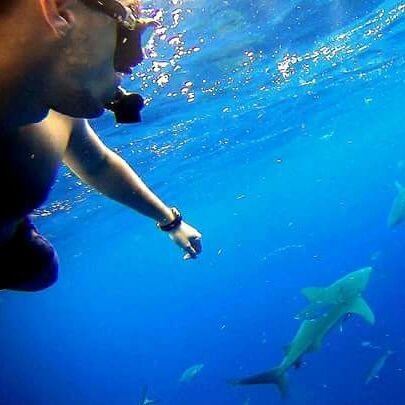 martnaum's profile picture. Head of Software Development. I strictly leave comfort zones.