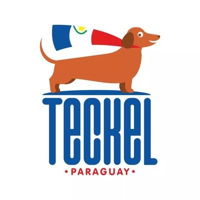 Perros Salchichas del Paraguay
Organizacion sin fines de Lucro.